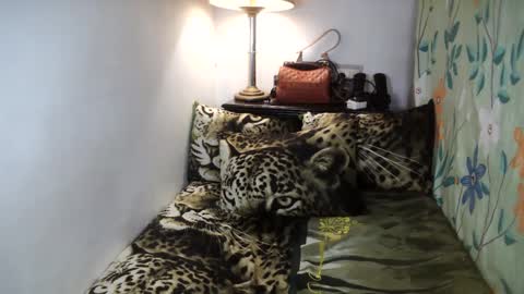 Snapshot of laureen_gavh chatting on 02/02/25, 08:13 Belle online show from 02/02/25, 08:13