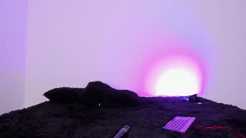 laurensmith9 online show from 09/26/25, 12:42