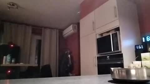 Law online show from 12/16/25, 05:45