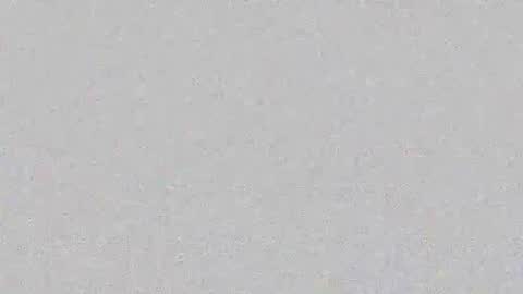 Layana online show from 02/19/26, 06:48