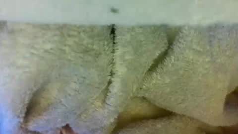 layannalea online show from 04/09/26, 06:30