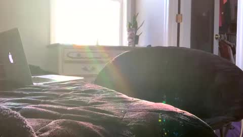 Laycee Layne online show from 12/20/25, 08:38