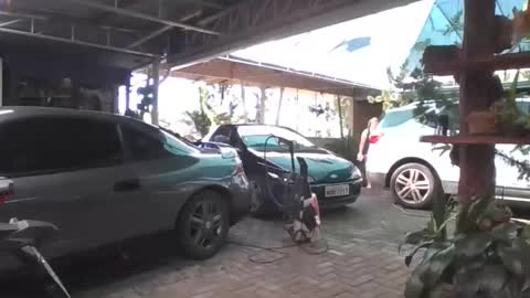 kelly online show from 04/19/26, 05:56