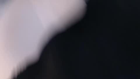 laylacruz online show from 03/02/25, 09:53