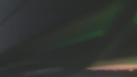 leowolf online show from 12/08/24, 06:50