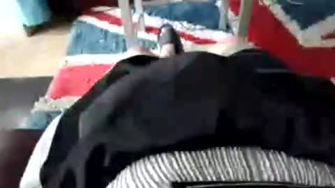 Snapshot of leatherpants68 chatting on 07/17/26, 09:05 leatherpants68 online show from 07/17/26, 09:05