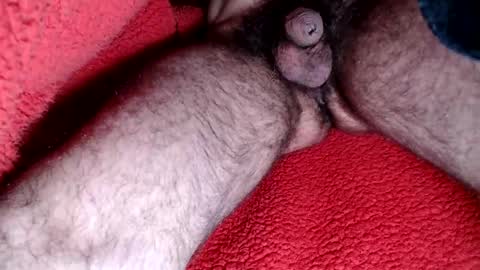 leccameloadesso2 online show from 02/15/25, 09:15