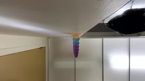 LeGrandAnneau online show from 01/29/25, 03:44