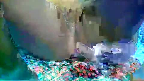 Snapshot of leilah_hope chatting on 02/16/26, 05:47 leilah_hope online show from 02/16/26, 05:47