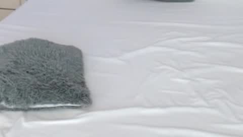 LUCY online show from 02/17/26, 08:37