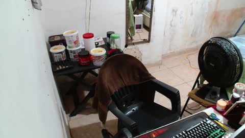 leonino231 online show from 12/15/25, 04:06