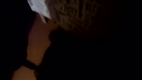 Abril online show from 04/02/26, 04:32