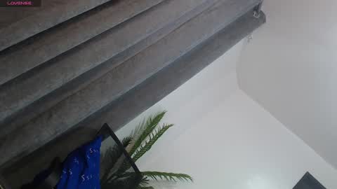 Trisha18 online show from 01/27/25, 06:09