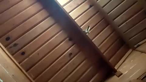 Snapshot of leskator9 chatting on 11/02/25, 05:10 leskator9 online show from 11/02/25, 05:10