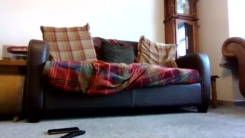 Snapshot of letmestrip chatting on 02/09/26, 09:02 paul online show from 02/09/26, 09:02