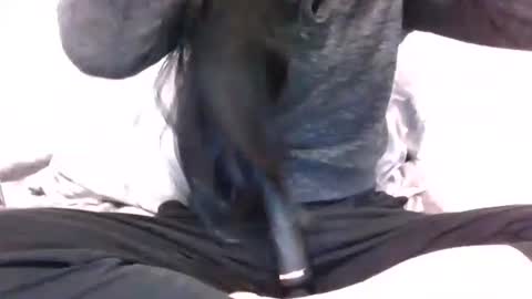 Snapshot of lets_play143 chatting on 02/16/26, 07:04 lets_play143 online show from 02/16/26, 07:04