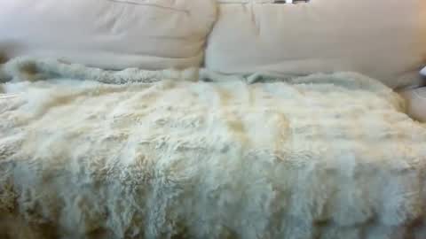 Bills Mafia online show from 04/24/26, 10:12