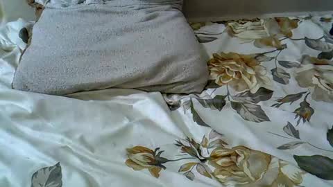 Snapshot of letshaveitbby chatting on 11/15/25, 07:16 letshaveitbby online show from 11/15/25, 07:16