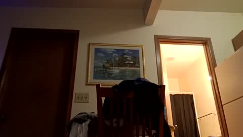 letsplay361 online show from 03/02/25, 08:05