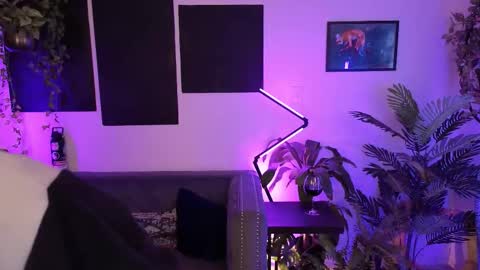 Levity online show from 11/18/25, 11:15