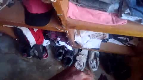 lewiskip online show from 11/17/25, 04:51