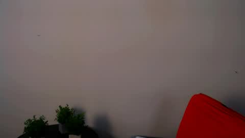 Snapshot of lexi_jos chatting on 05/15/26, 11:17 Alexia online show from 05/15/26, 11:17
