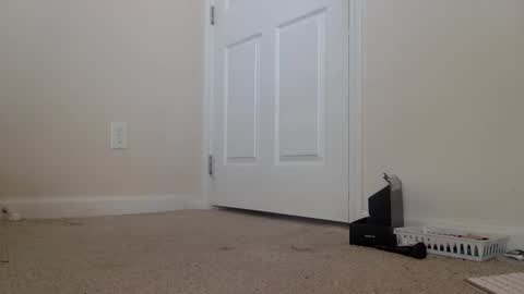 Alexia L. online show from 02/06/26, 06:33