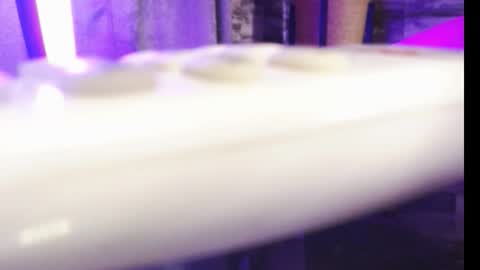 lexywetrain online show from 10/19/25, 10:21