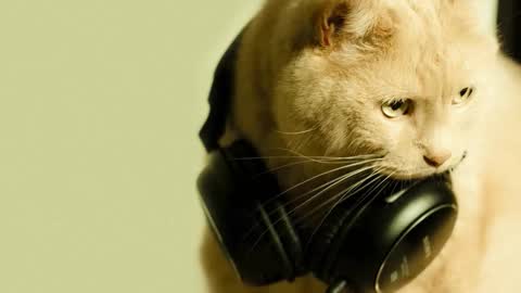 li_lit online show from 03/02/26, 05:08