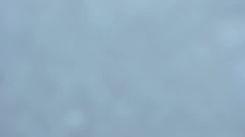 Snapshot of lia_izumy chatting on 02/01/25, 03:52 . online show from 02/01/25, 03:52