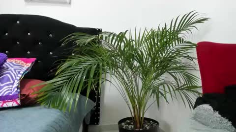 Snapshot of liam_saint chatting on 06/04/26, 02:12 Call me Lian online show from 06/04/26, 02:12