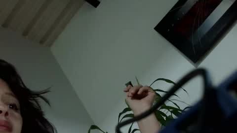 liarysmaag17 online show from 12/08/24, 03:21