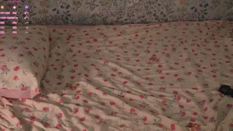 Snapshot of libbyshepard chatting on 10/14/25, 12:50 Elena online show from 10/14/25, 12:50