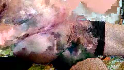 lickingover online show from 04/08/26, 11:32