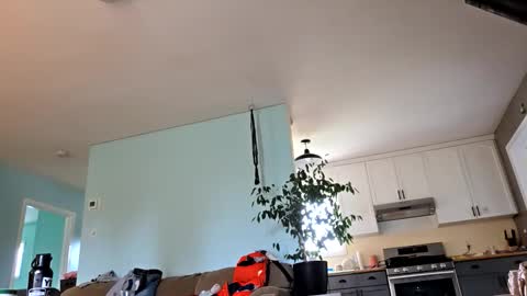 Snapshot of lickurpussygood40 chatting on 10/24/25, 05:31 lickurpussygood40 online show from 10/24/25, 05:31