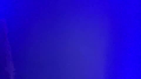 Snapshot of lickyouryoni chatting on 01/01/25, 02:52 LickYourYoni online show from 01/01/25, 02:52