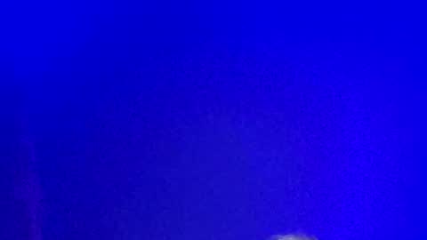 Snapshot of lickyouryoni chatting on 01/13/25, 02:21 LickYourYoni online show from 01/13/25, 02:21