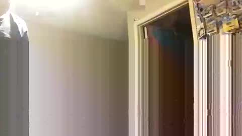 lie2ne online show from 11/16/25, 03:50