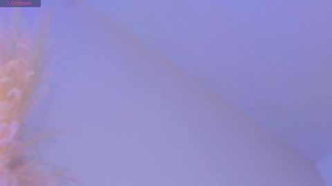 Liiam Luna online show from 11/19/25, 09:09