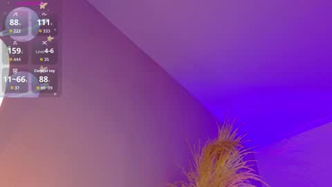 Liiam Luna online show from 02/19/26, 09:05