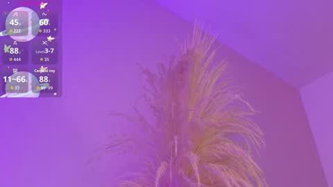 Liiam Luna online show from 03/17/26, 09:01