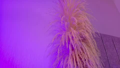 Liiam Luna online show from 04/20/26, 11:02