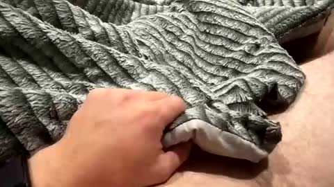 Snapshot of likeaboss820 chatting on 10/29/25, 02:03 likeaboss820 online show from 10/29/25, 02:03