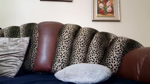 Celine online show from 12/19/24, 10:53