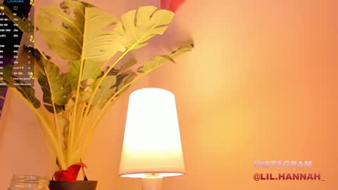 Snapshot of lil_hanna18 chatting on 12/23/24, 03:01 Hanna online show from 12/23/24, 03:01