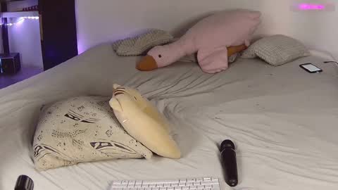 Snapshot of lil_nessa chatting on 02/18/25, 05:31 Nessa Greyrat if u like me tip 25 tk and put online show from 02/18/25, 05:31