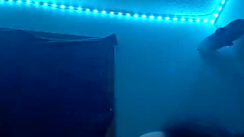 Snapshot of lildman420 chatting on 11/12/25, 08:48 lildman420 online show from 11/12/25, 08:48