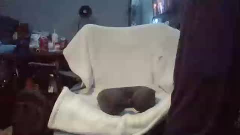 lildman420 online show from 03/24/26, 09:42