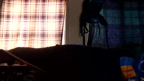 lildurke65 online show from 02/10/26, 09:19