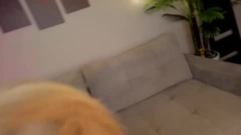 lililok101 online show from 10/17/25, 02:04